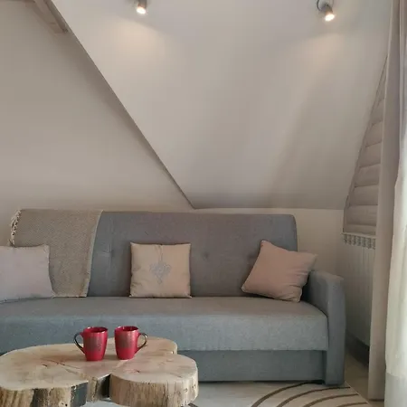 Widok Apartamenty Закопане Екстер'єр фото