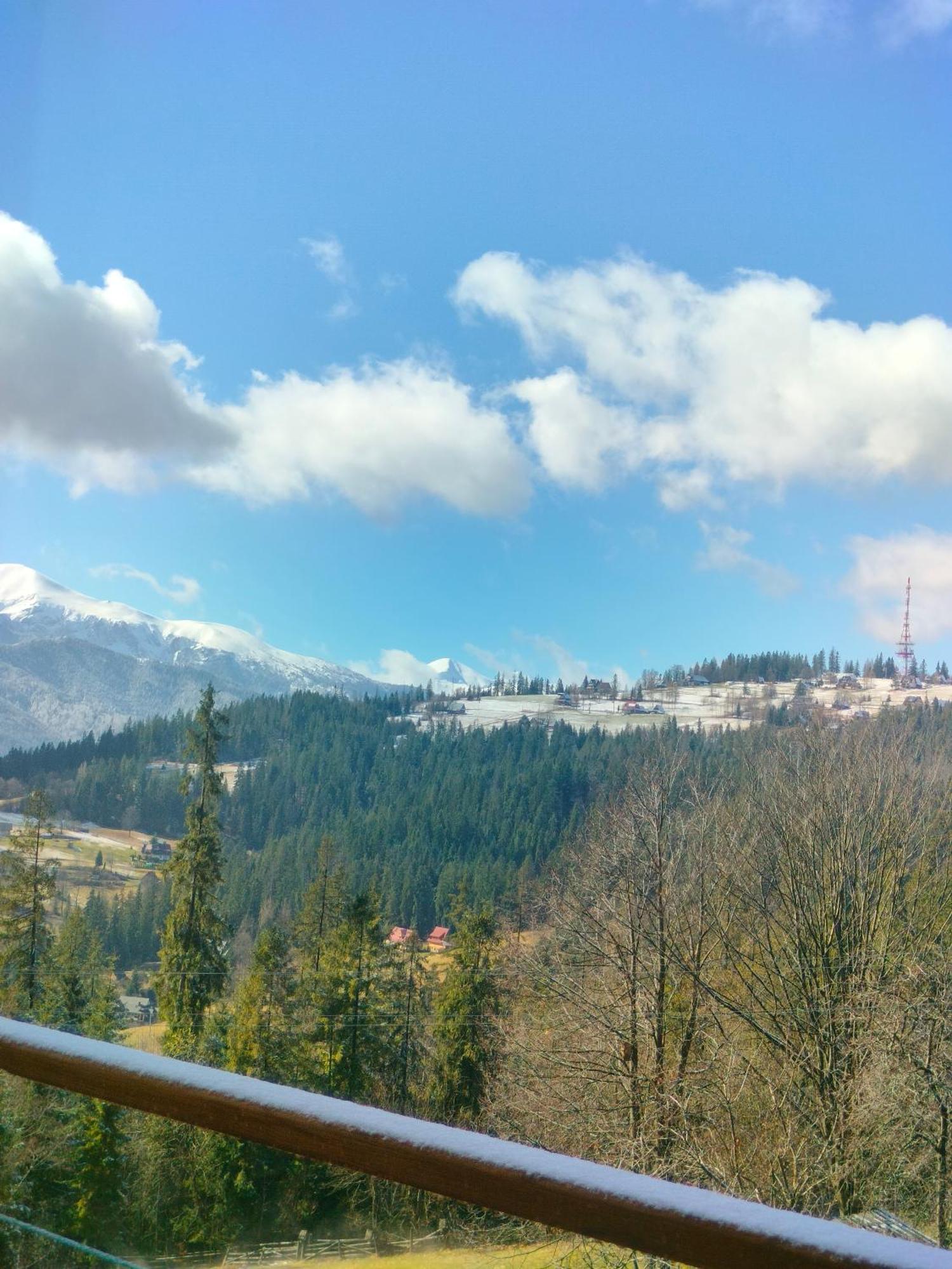 Widok *