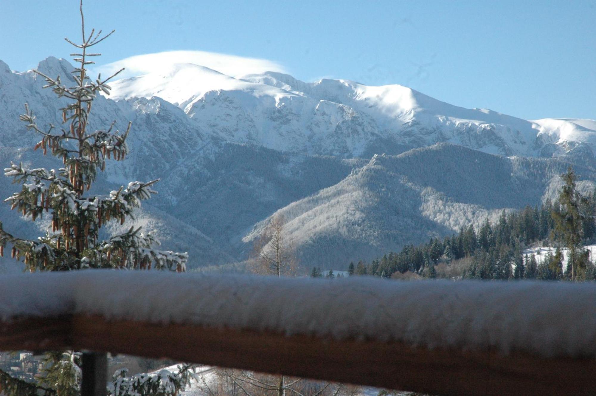 Widok